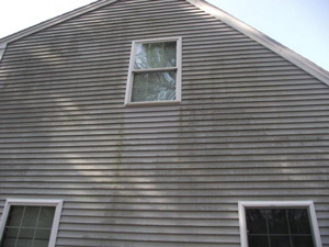 Mold on home siding- Before
